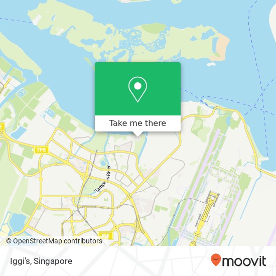 Iggi's, 207L Jalan Loyang Besar Singapore 509479 map