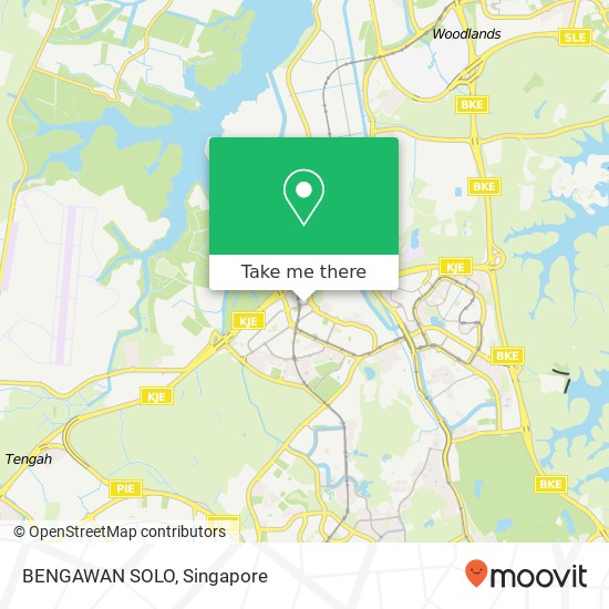 BENGAWAN SOLO, 21 Choa Chu Kang Ave 4 Singapore 68地图