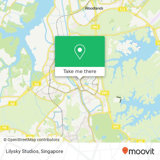 Lilysky Studios, 613 Bukit Panjang Ring Rd Singapore 670613 map