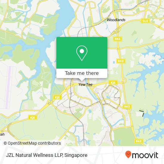 JZL Natural Wellness LLP, 67 Verde Ave Singapore 688335 map