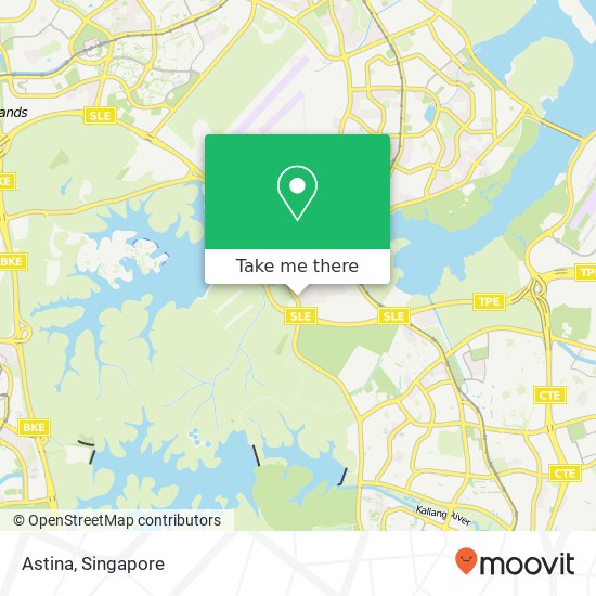 Astina, Upp Thomson Rd Singapore map