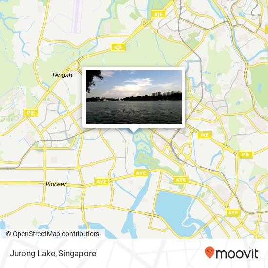 Jurong Lake map