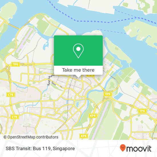 SBS Transit: Bus 119地图