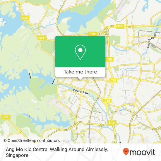 Ang Mo Kio Central Walking Around Aimlessly地图
