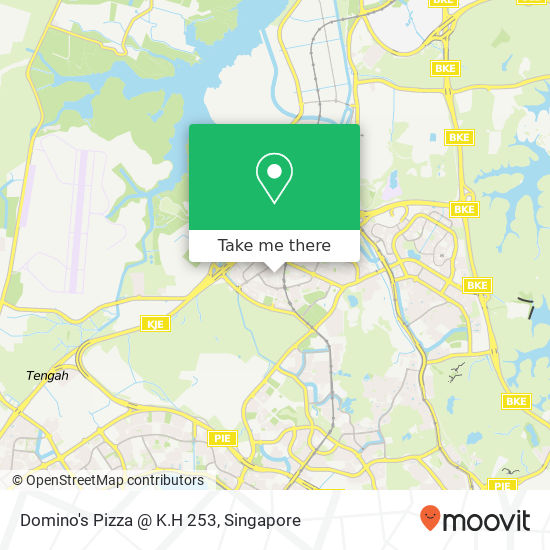 Domino's Pizza @ K.H 253 map