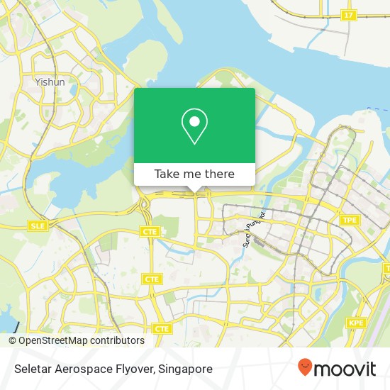 Seletar Aerospace Flyover map