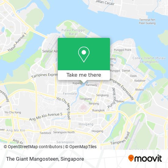 The Giant Mangosteen map