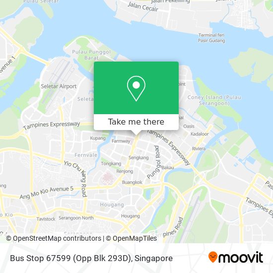 Bus Stop 67599 (Opp Blk 293D)地图