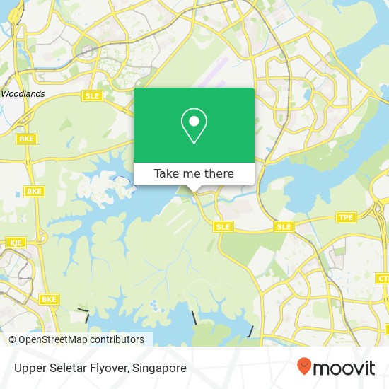 Upper Seletar Flyover map