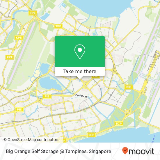Big Orange Self Storage @ Tampines地图