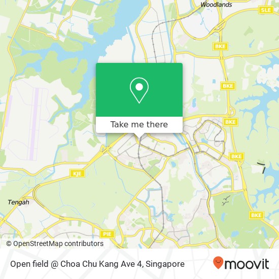 Open field @ Choa Chu Kang Ave 4 map