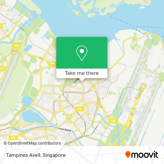 Tampines Ave9 map