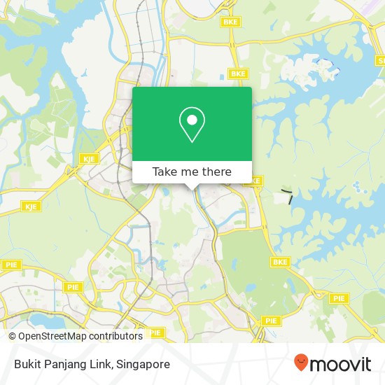 Bukit Panjang Link地图