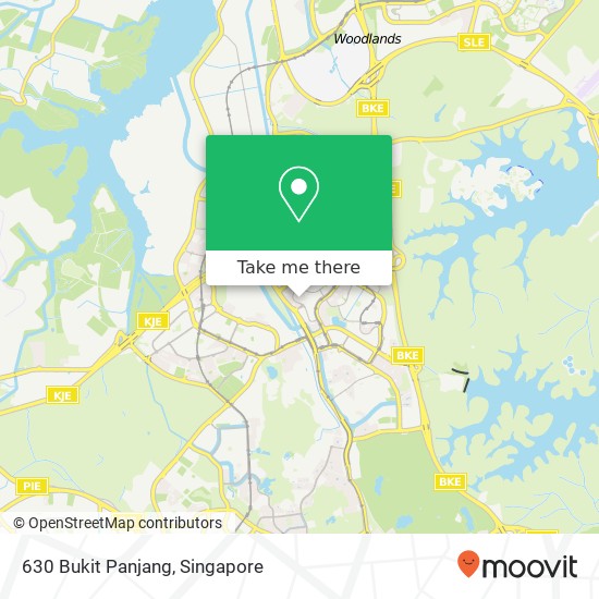 630 Bukit Panjang地图