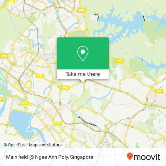 Main field @ Ngee Ann Poly地图