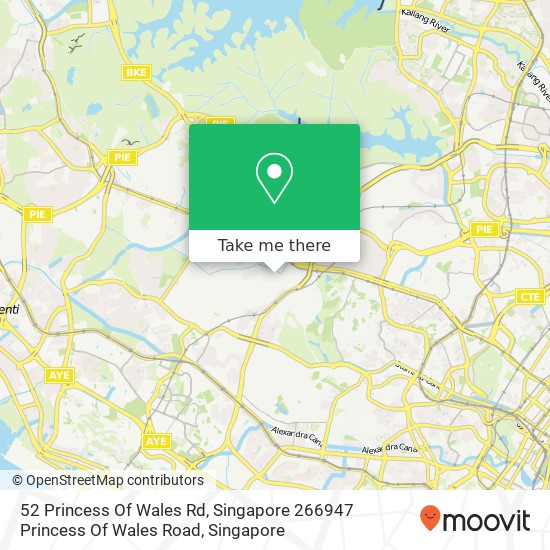 52 Princess Of Wales Rd, Singapore 266947 Princess Of Wales Road地图