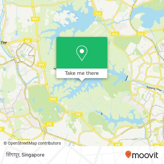 सिंगापूर map