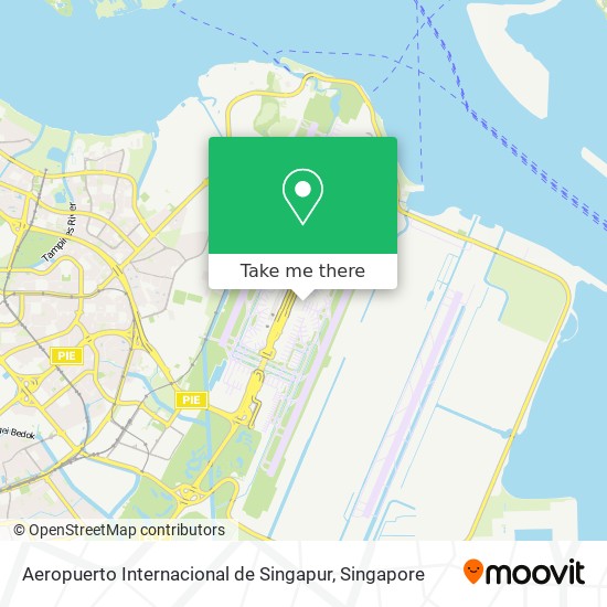 Aeropuerto Internacional de Singapur map