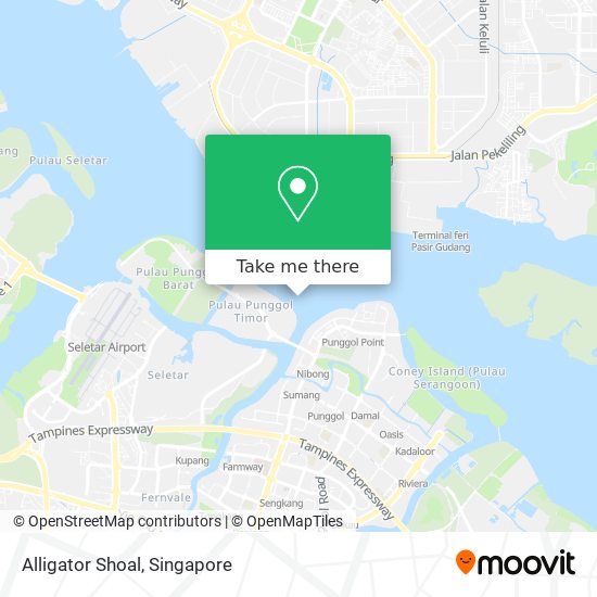 Alligator Shoal map