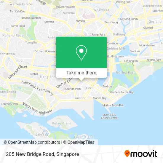 205 New Bridge Road地图
