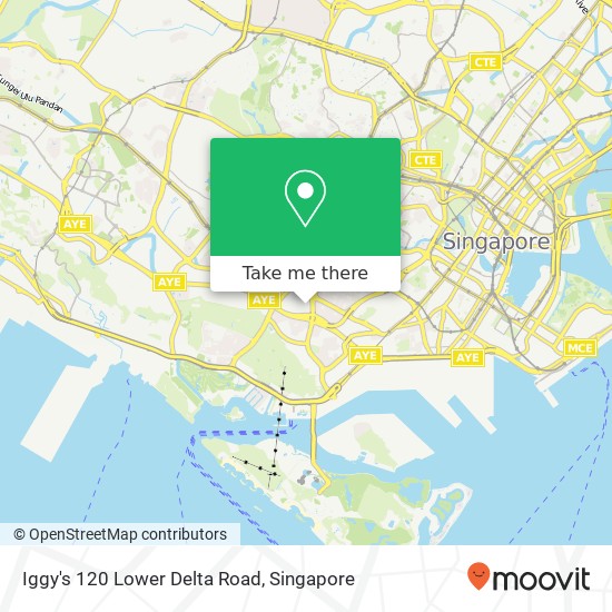 Iggy's 120 Lower Delta Road, Singapore map