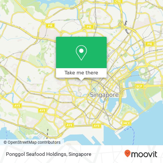 Ponggol Seafood Holdings, Killiney Rd Singapore 239547地图