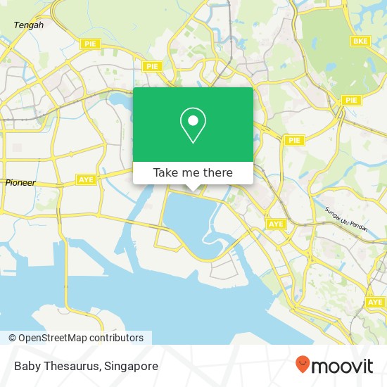 Baby Thesaurus, Teban Gardens Rd Singapore 600035地图