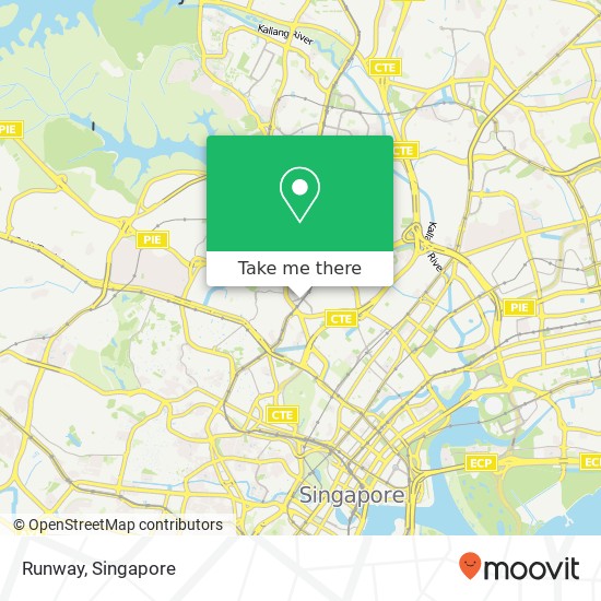 Runway, Singapore map