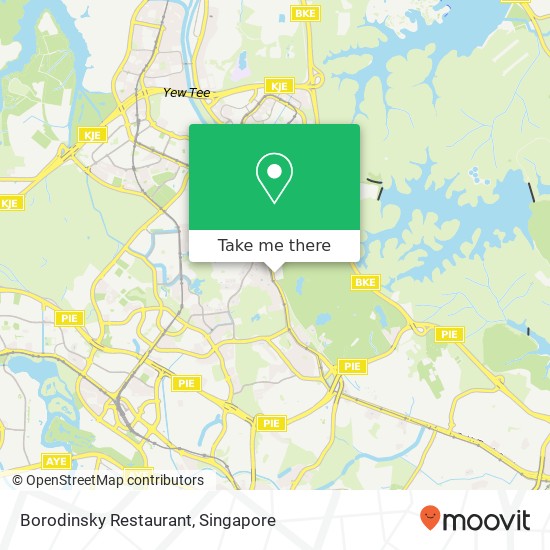 Borodinsky Restaurant, Upp Bukit Timah Rd Singapore 678049地图