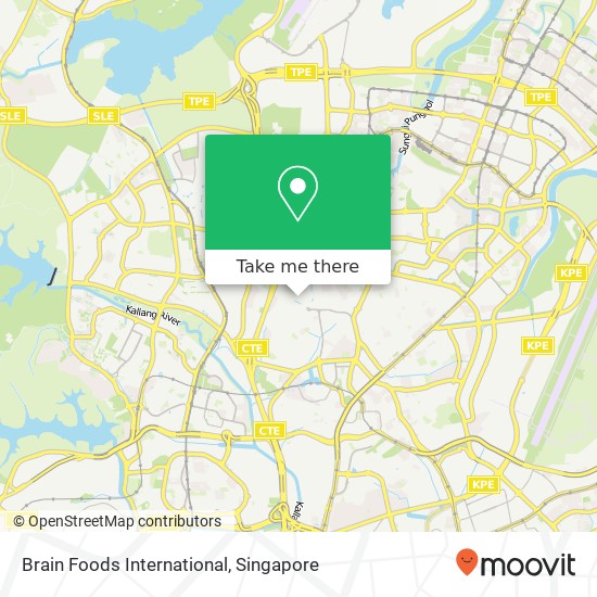 Brain Foods International, 3 Sandown Pl Singapore 556166地图