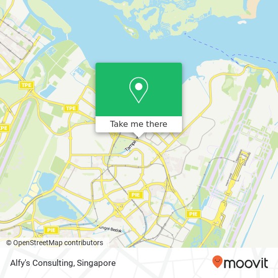 Alfy's Consulting, 124 Pasir Ris St 11 Singapore 510124 map