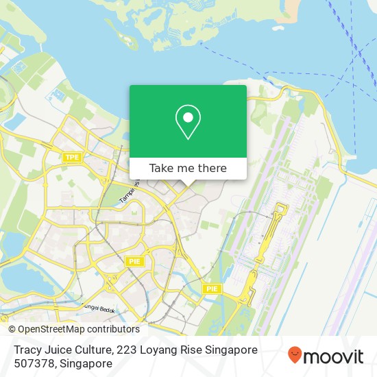 Tracy Juice Culture, 223 Loyang Rise Singapore 507378地图