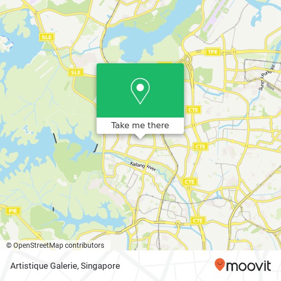 Artistique Galerie, 38 Mayflower Ter Singapore 568581地图