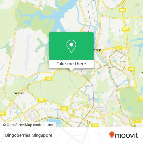 Bingoberries, 484D Choa Chu Kang Ave 5 Singapore 684484 map