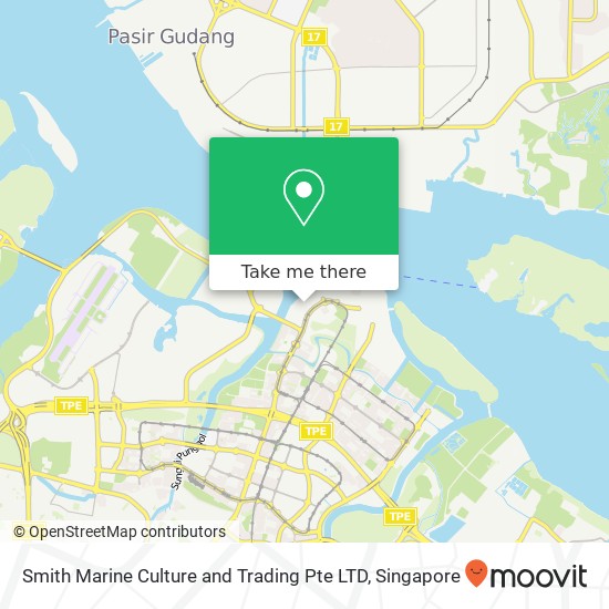 Smith Marine Culture and Trading Pte LTD, Northshore Dr Singapore map