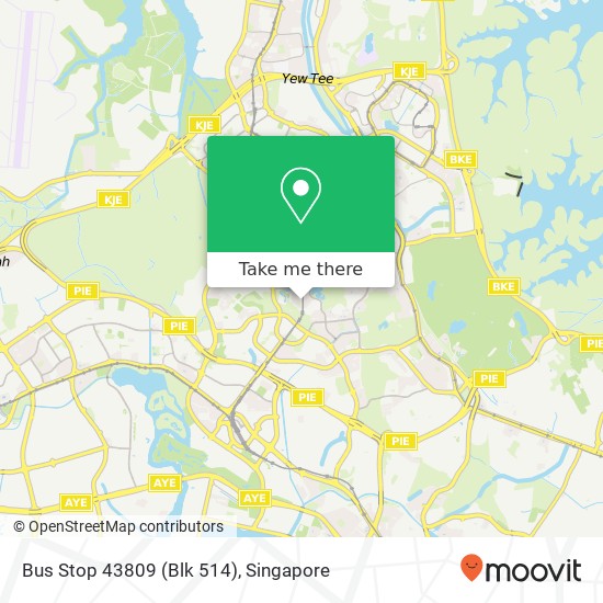 Bus Stop 43809 (Blk 514) map