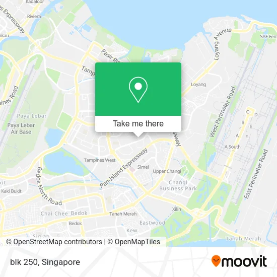 blk 250 map