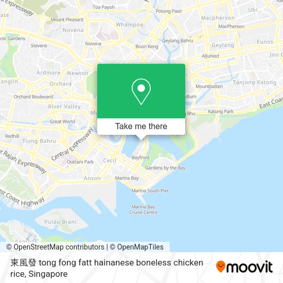 東風發 tong fong fatt hainanese boneless chicken rice地图