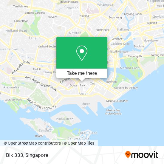 Blk 333 map