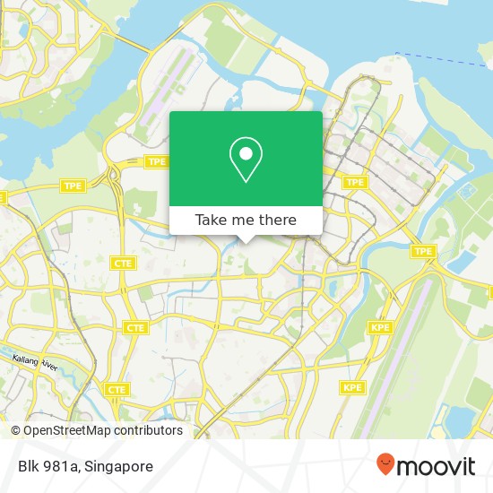 Blk 981a map