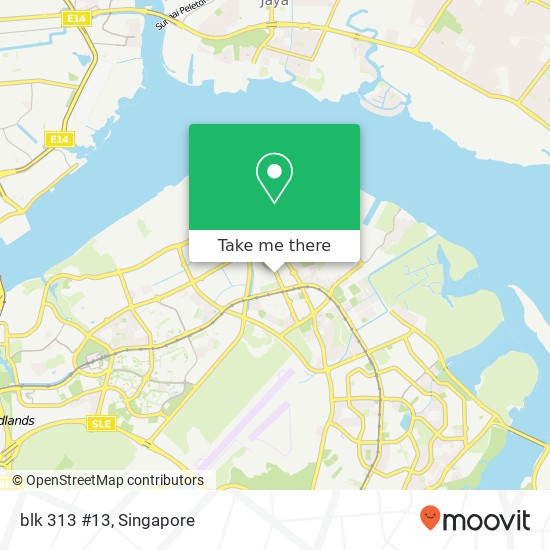 blk 313 #13 map