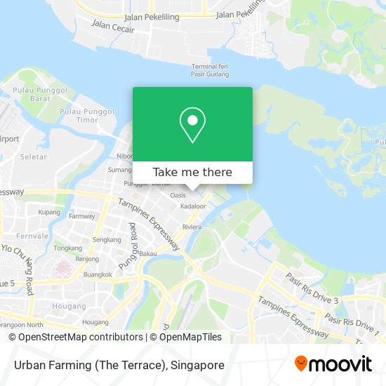 Urban Farming (The Terrace) map