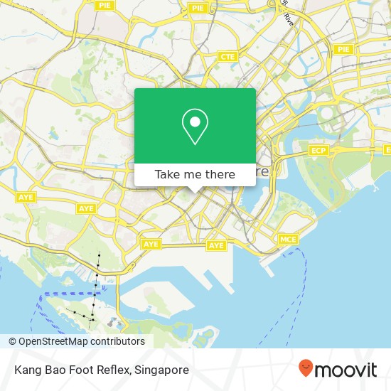 Kang Bao Foot Reflex map