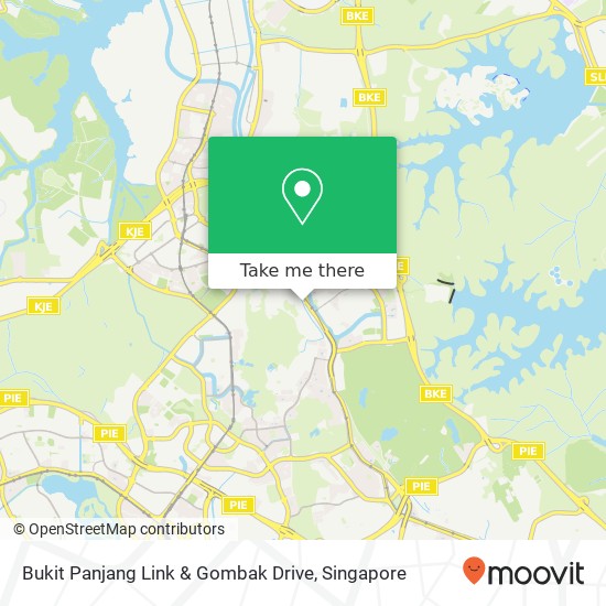 Bukit Panjang Link & Gombak Drive map