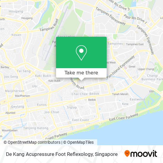 De Kang Acupressure Foot Reflexology map