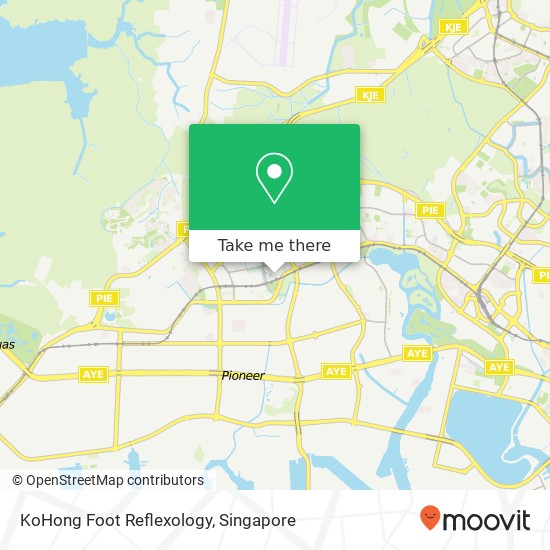 KoHong Foot Reflexology map
