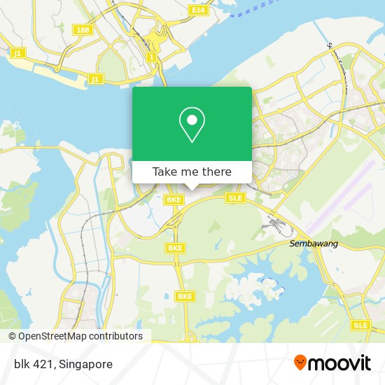 blk 421 map