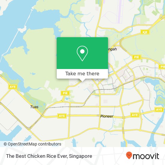 The Best Chicken Rice Ever map