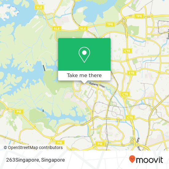 263Singapore map