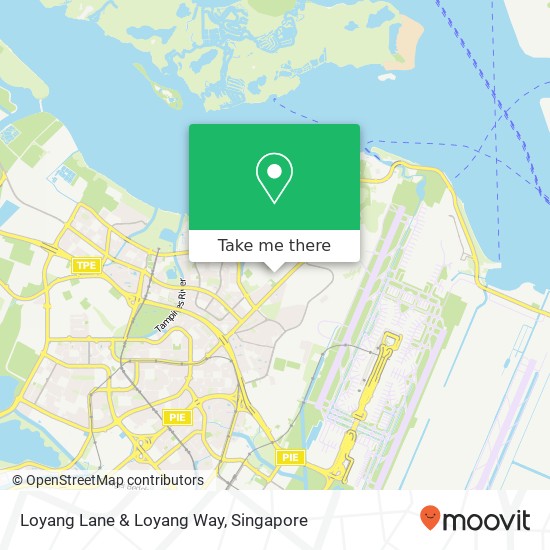 Loyang Lane & Loyang Way map